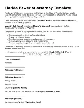 Attorney-Approved Florida Power of Attorney Template