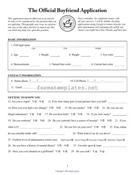 Free Boyfriend application form Template
