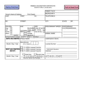 Free Rabies Certificate Template